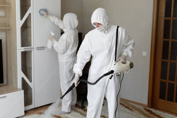 Best Crawl Space Mold Removal  in Oakhurst, CA